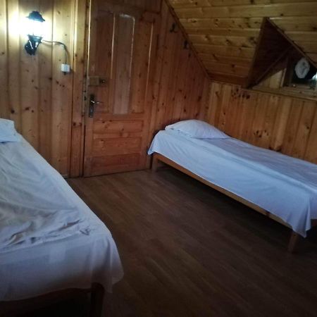 Casa Radu Lui Anghel Villa Barbuletu Esterno foto