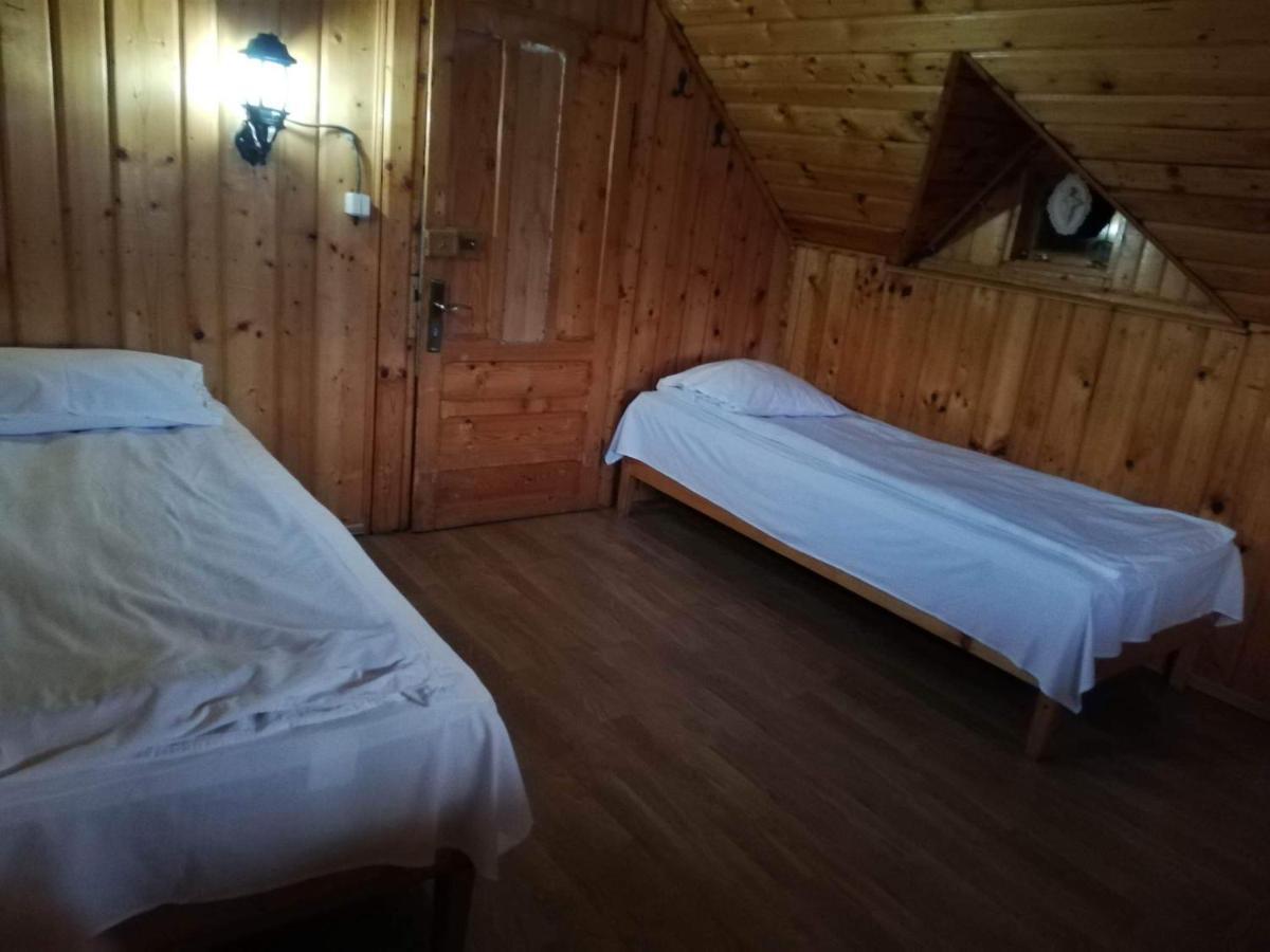 Casa Radu Lui Anghel Villa Barbuletu Esterno foto