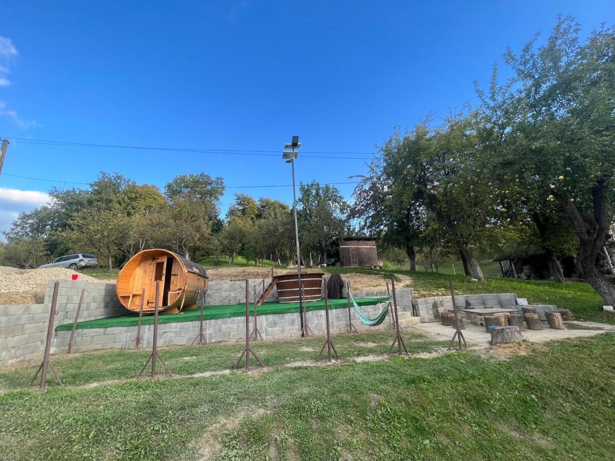 Casa Radu Lui Anghel Villa Barbuletu Esterno foto