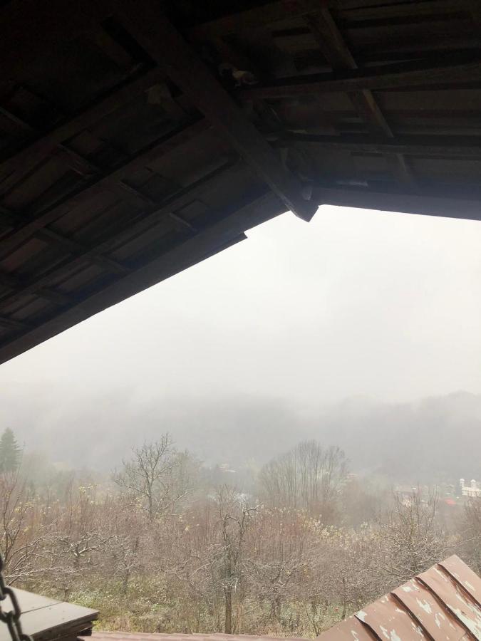 Casa Radu Lui Anghel Villa Barbuletu Esterno foto