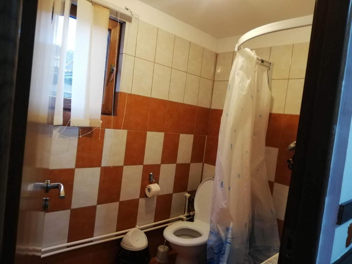 Casa Radu Lui Anghel Villa Barbuletu Esterno foto