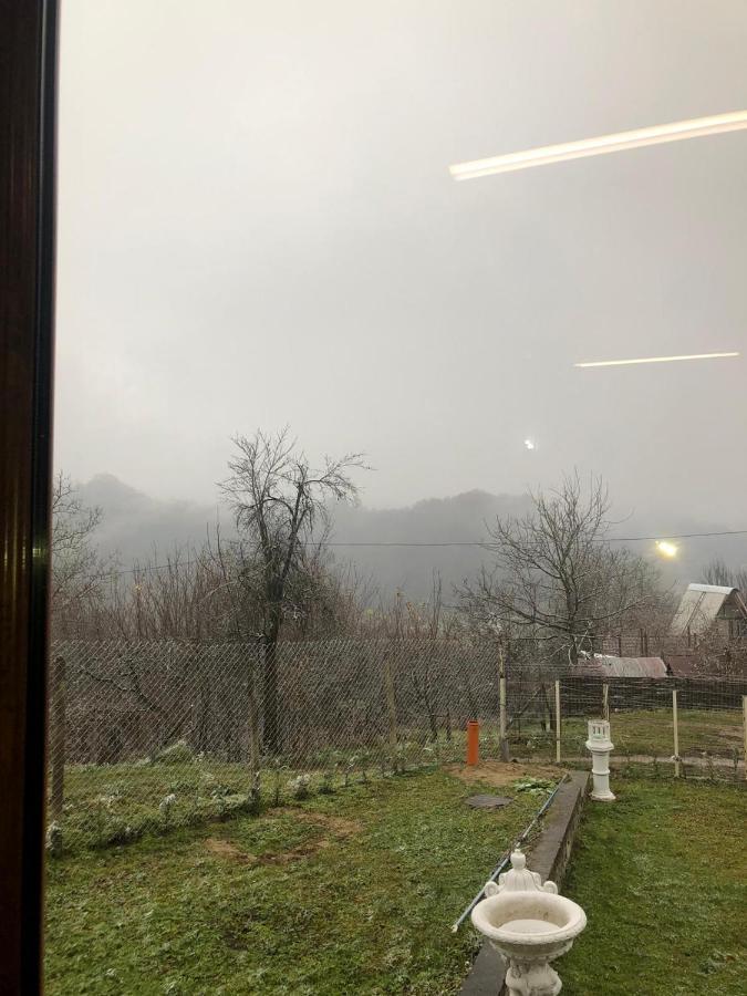 Casa Radu Lui Anghel Villa Barbuletu Esterno foto